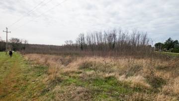 Terreno edificabile e agricolo in vendita Porec