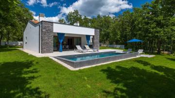 House with pool for sale Žminj