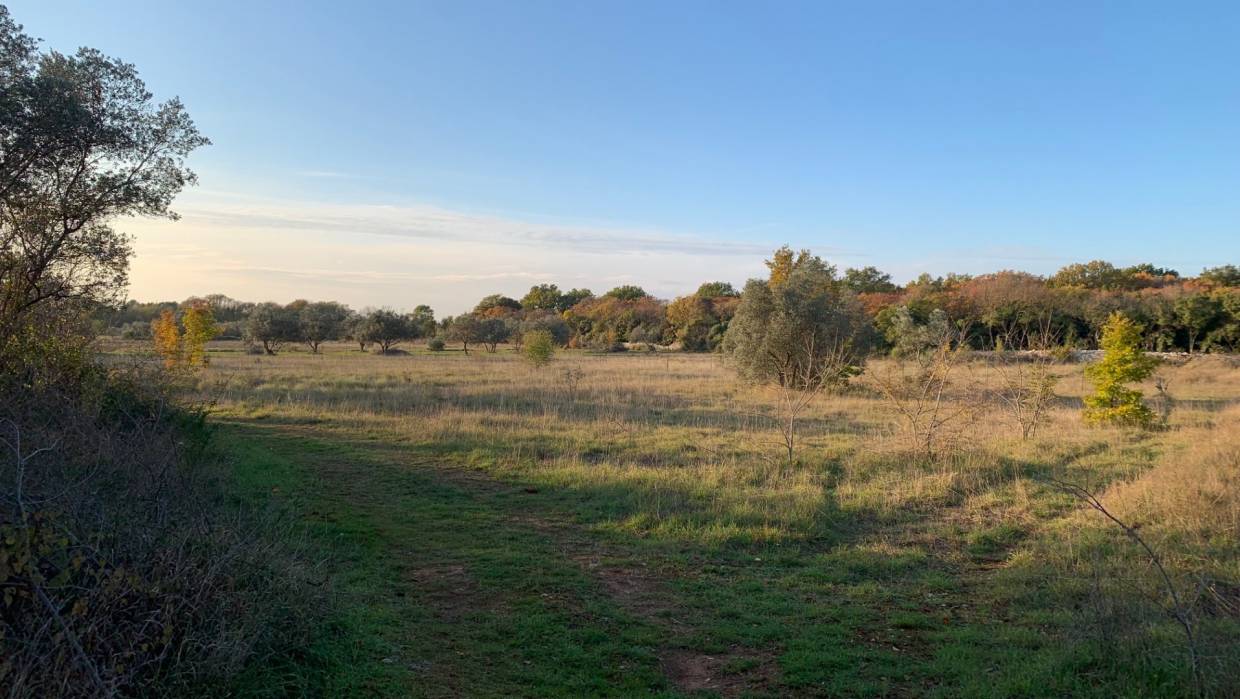 Terreno agricolo in vendita Fažana