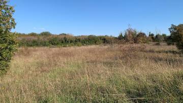 Kmetijsko zemljišče na prodaj Fažana