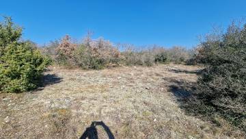 Farm land for sale Bale