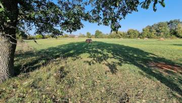 Farm land for sale Šišan Pula