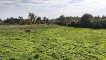 Građevinsko zemljište na prodaju okolica Žminja