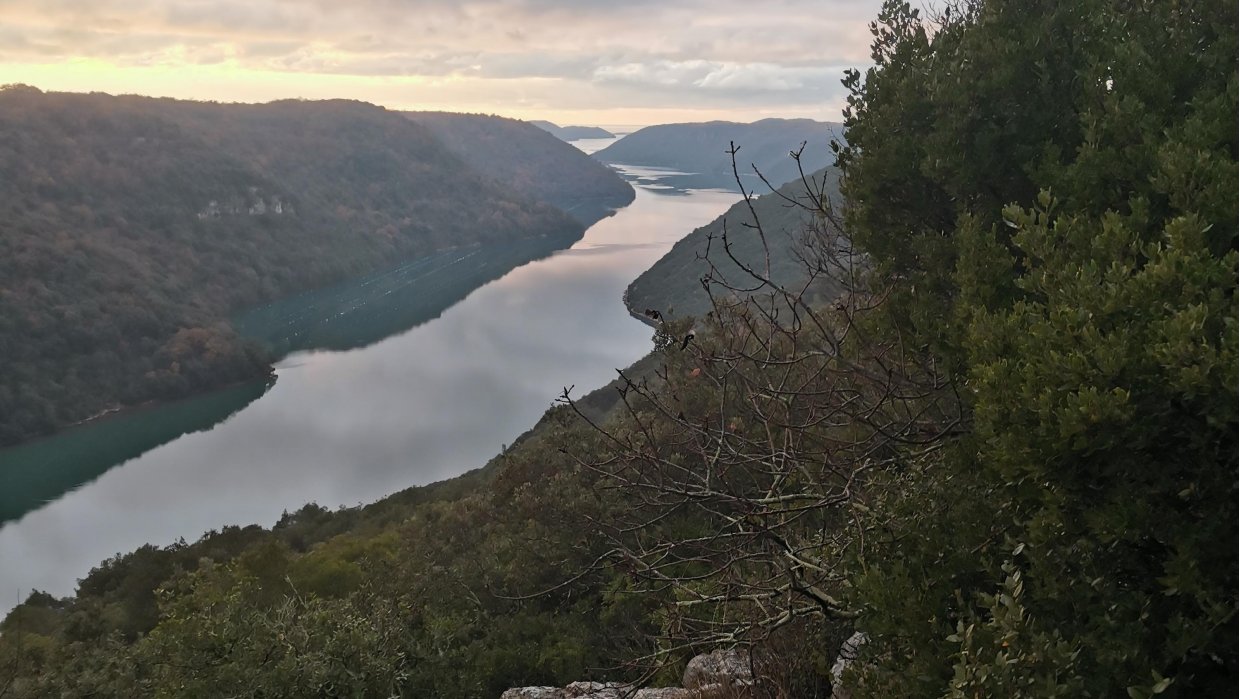 Poljoprivredno zemljište na prodaju Lim Sveti Lovreč