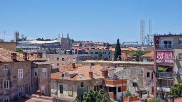 Pogled