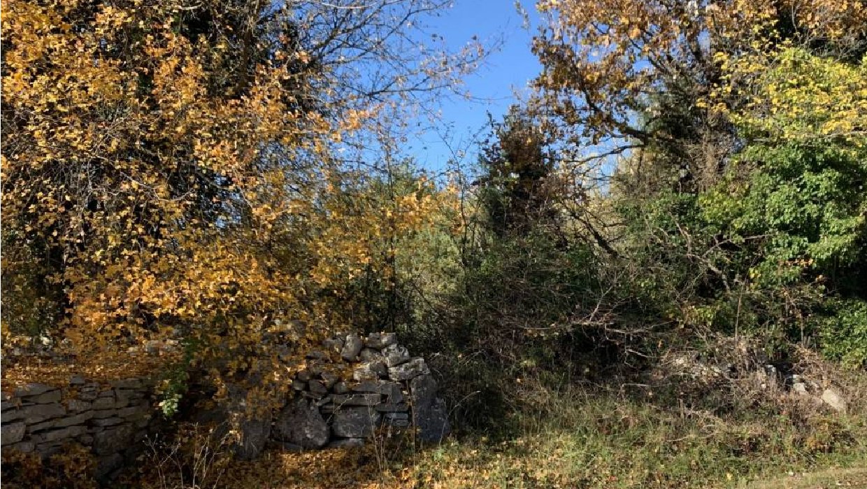 Poljoprivredno zemljište na prodaju Krmed Bale