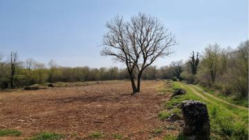 Komplex von Bau und Ackerland Poreč