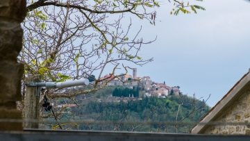 Stone house for renovation Motovun